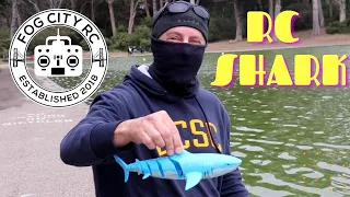 RC Shark!  Unbox and Swim!  Totally Fun!