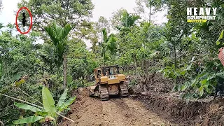 Caterpillar D6R XL Bulldozer Excellent Work Making New Roads in Residents' Plantations