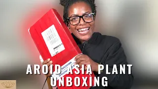 Aroid Asia Plant Import Unboxing | Initial Thoughts and Reaction