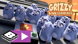 Grizzy en de Lemmings | Gevecht om elektriciteit | Cartoonito