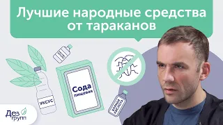 Лучшие народные средства от тараканов | Как уничтожить тараканов | Советы от СЭС