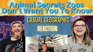 "Animal Secrets Zoos Don’t Want You To Know" @mndiaye_97 HatGuy & Nikki react!