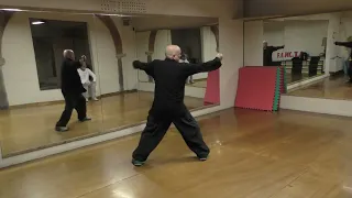 Bagua del Diamante, tutorial. movie