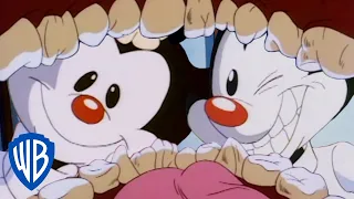 Animaniacs | The Worst Dentists | Classic Cartoon | WB Kids