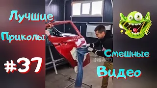 ЛУЧШИЕ ПРИКОЛЫ / СМЕШНЫЕ ВИДЕО #37