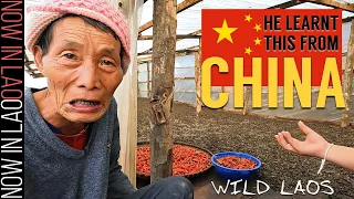 WILD LAOS - This is How CHINA Likes it