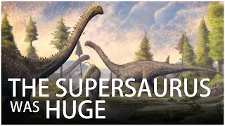 The Biggest Dinosaur to Walk the Earth