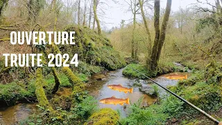 DE NOMBREUSES TRUITES SE CACHENT DANS CETTE FORÊT - OUVERTURE 2024