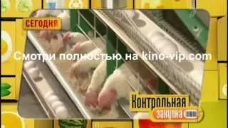 Контрольная закупка - Яйцо отборной категории 02/05/2013