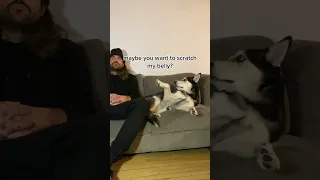 Man ignores his Husky to see his reaction...
