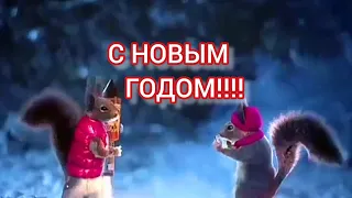 С НОВЫМ ГОДОМ. Новогодние Белки. Поздравление. Новогоднее видео. С праздником.