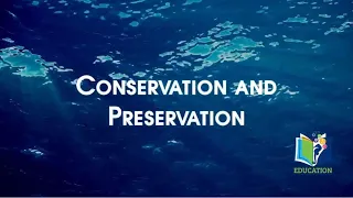 Deep Sea Learning: Conservation and Preservation