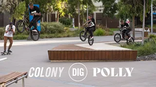 Polly - Colony BMX 2020
