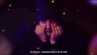 Asl Wayne - Guldasta Remix By Dj Tab