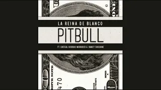 Pitbull Ft. Chesca, Giorgio Moroner, Raney Shockne - La Reina de Blanco  (Audio)
