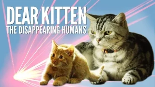 Dear Kitten: The Disappearing Humans – Purina® Friskies