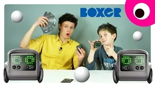 Кто кого? Спаринг с роботом Spin Master Boxer | Игрушки для детей