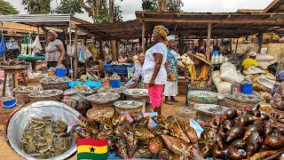 Mass food market day in Ada Ghana.  $20 weekly shopping.Cost of living in Ghana 2024.@truemamle6184