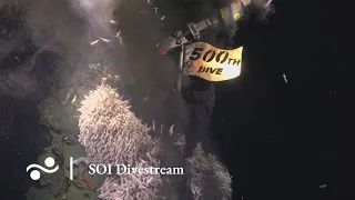ROV SuBastian's 500th Dive at Puy Des Folles Volcano