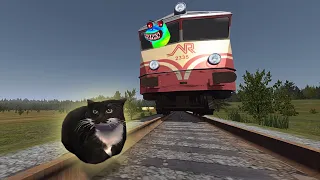 Running Over Maxwell the Cat in My Summer Car