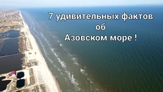 7 удивительных фактов об Азовском море!