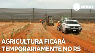 Ministério da Agricultura será transferido temporariamente para o RS