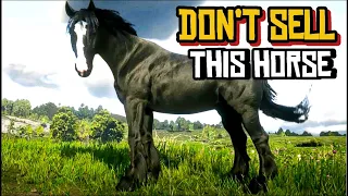 RDR2 - Raven Black Shire | Most Overlooked Horse, Largest Horse Breed, Open World Wild Adventures