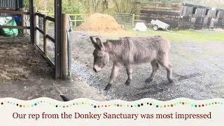 Creating a Donkey Sandpit