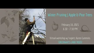 Winter Pruning [Apple & Pear Trees] | Online Workshop | February 16, 2021