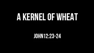 A KERNEL OF WHEAT (John 12:24-25) Chords and Lyrics