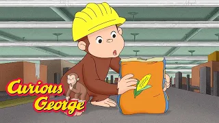 How to Make Tortillas  🐵 Curious George 🐵 Kids Cartoon 🐵 Kids Movies