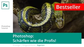 Photoshop-Tutorial: Bilder schärfen wie die Profis!