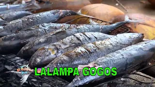 LALAMPA GOGOS | JEJAK SI GUNDUL (12/05/24)