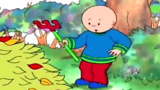 Caillou y la Caída de Hojas | Caillou en Español Castellano