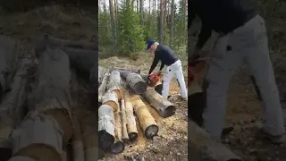 Puun sahausta                Sawing wood