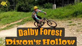 Dalby Forest, Dixon's Hollow (4K)
