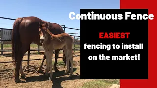 Easy DIY Horse And Livestock Fencing!