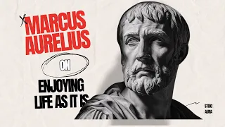 Forget the Hustle! Marcus Aurelius on Enjoying Life as It Is