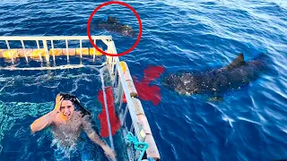 Poniendo A Prueba El Ataque De Un Tiburón!! SANGRE HUMANA VS SANGRE DE PESCADO! **SALE MAL**