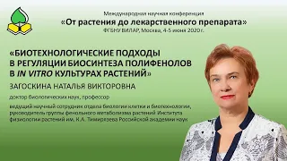 МНК "От растения до лекарственного препарата" (ФГБНУ ВИЛАР), профессор Загоскина Н. В.