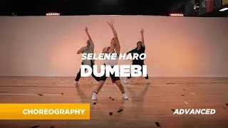 Rema - Dumebi / Choreography by Selene Haro / BB360