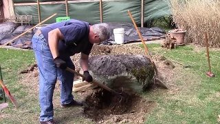 Moving a big rock with a hand truck, a lawn tractor and a willing wife.