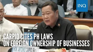 Carpio cites PH laws on foreign ownership of businesses