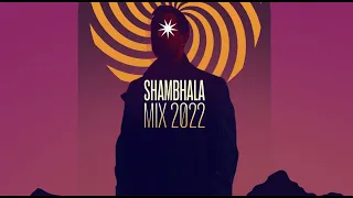 Defunk - Shambhala Festival 2022 Set (Visual + DJ Set)