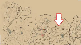 One of the HARDEST loot in Red Dead Redemption 2 💀