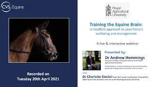 Training the Equine Brain: a headfirst approach to your horse's wellbeing management