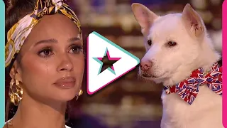 Proof That DOGS ARE MAGIC! Super Emotional Audition Leaves All Judges In TEARS!