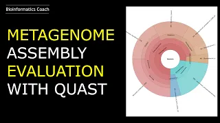 Metagenome Assembly Evaluation with MetaQuast