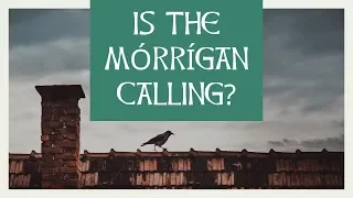 Is the Morrigan Calling You? What are the Signs?