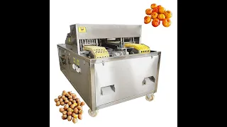 Factory Price Commercial Fruit Seed Removing Machine Olive Pitting Cherry Pit Remove Machine